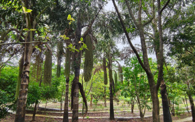 MUWCI’S first biodiversity monitoring newsletter